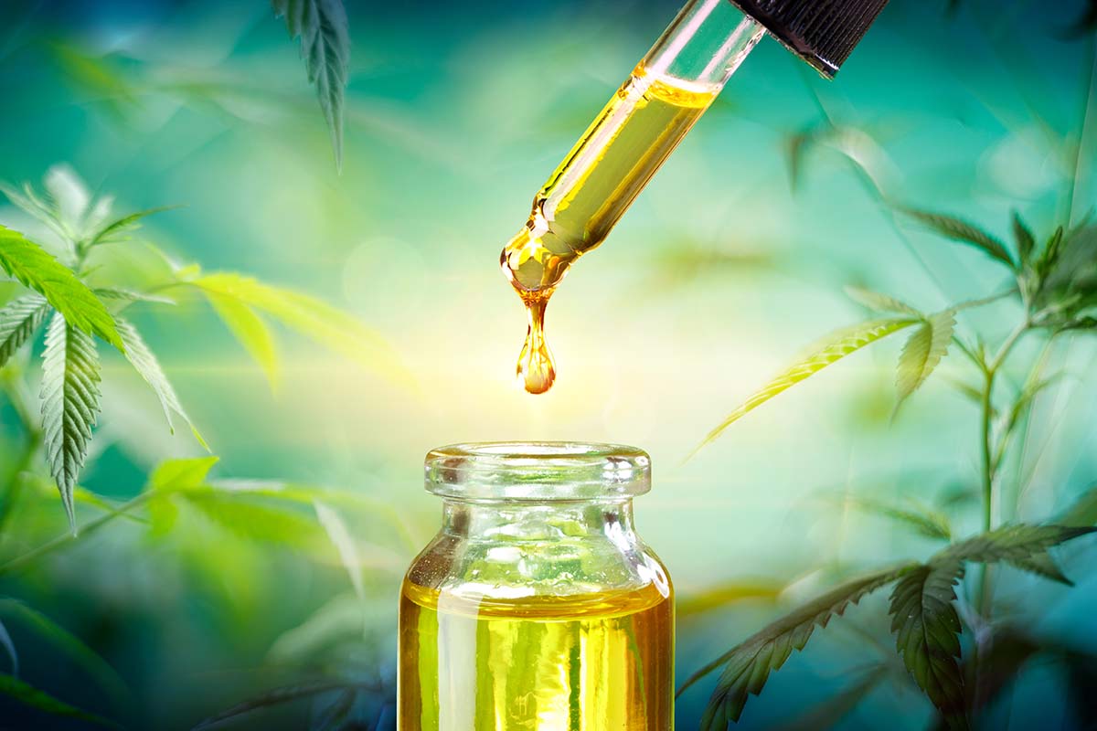 CBD Oil: From Plant to Product